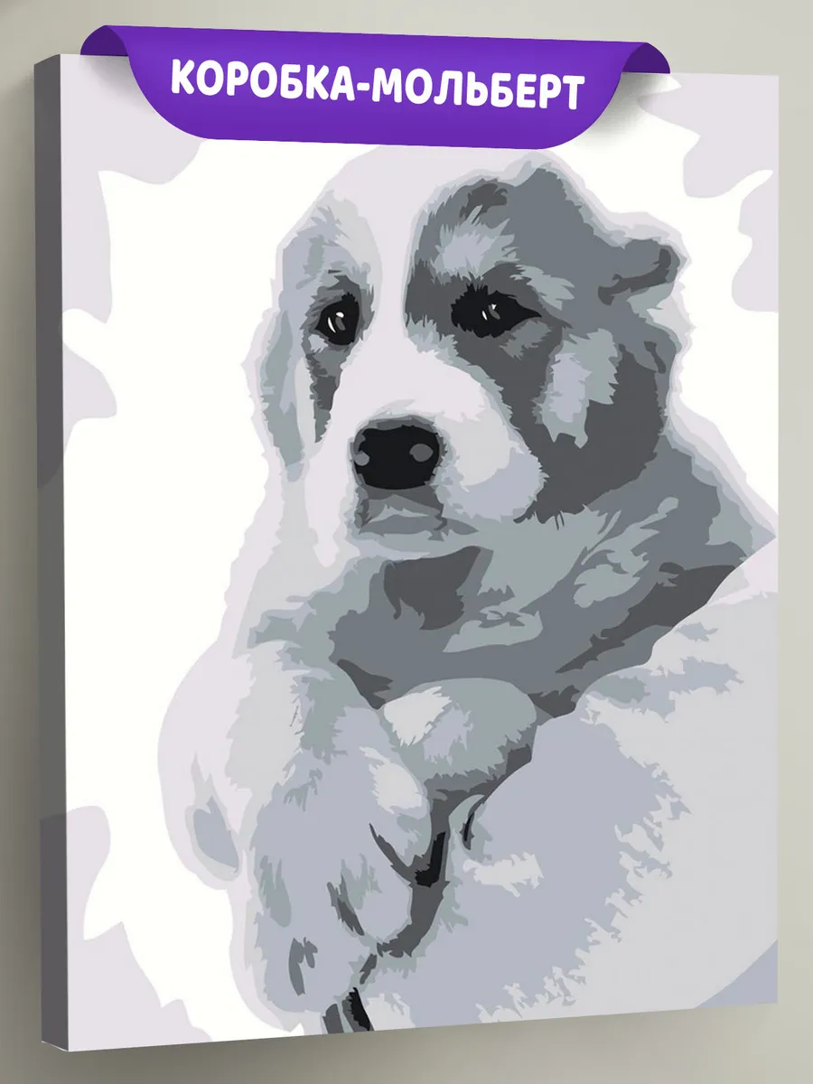 Картина по номерам «Собаки: алабай щенок, монохром чб»