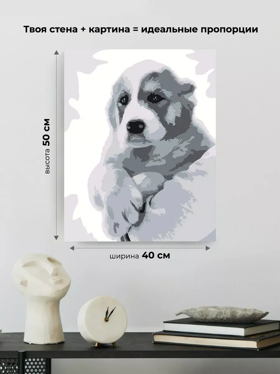 Картина по номерам «Собаки: алабай щенок, монохром чб» — картинка 3