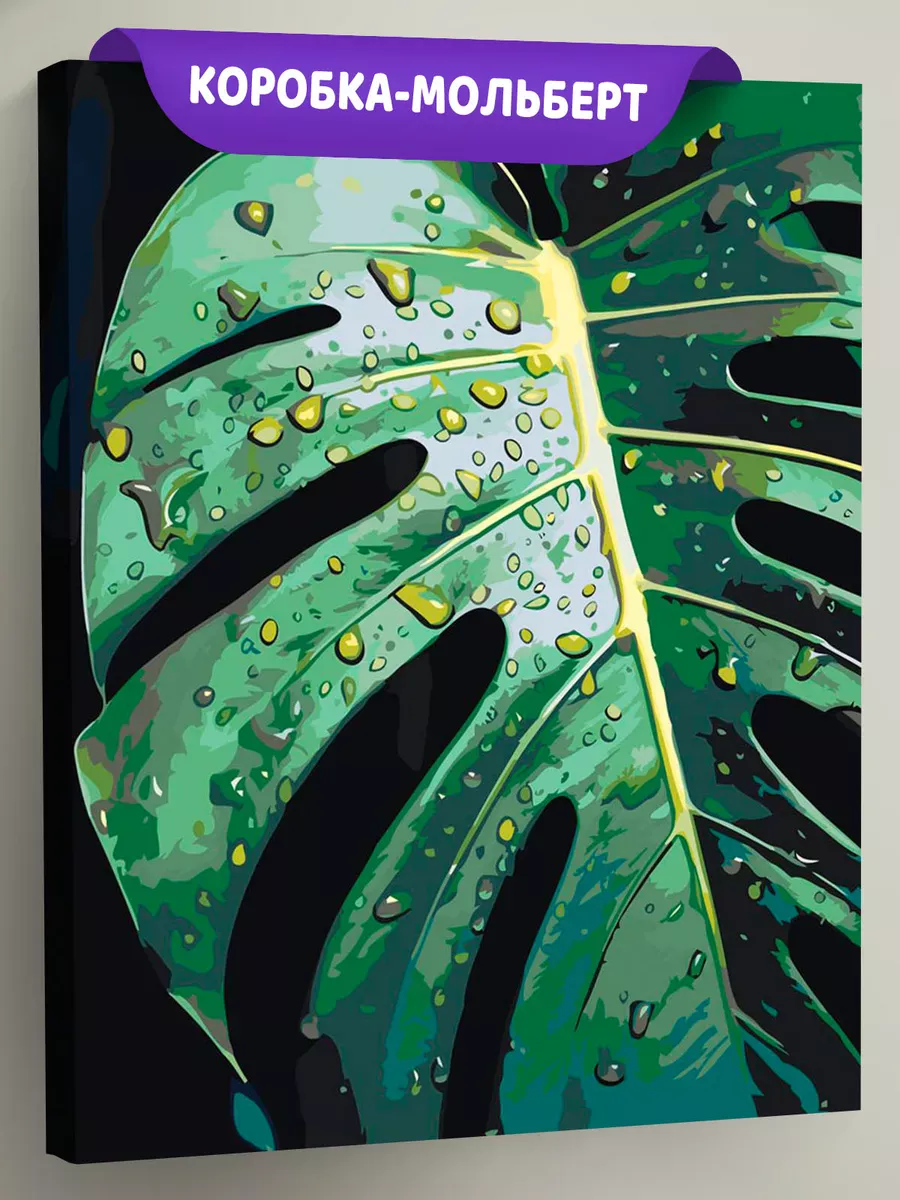 Картина по номерам «Цветы и растения: монстера с каплями»