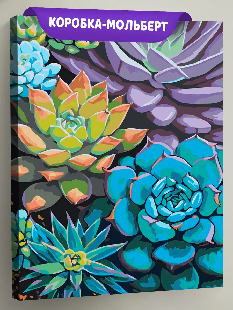 Картина по номерам «Цветы и растения: разноцветные суккуленты»