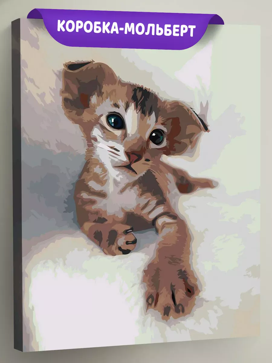 Картина по номерам «Коты и кошки: ориентальная, котенок»