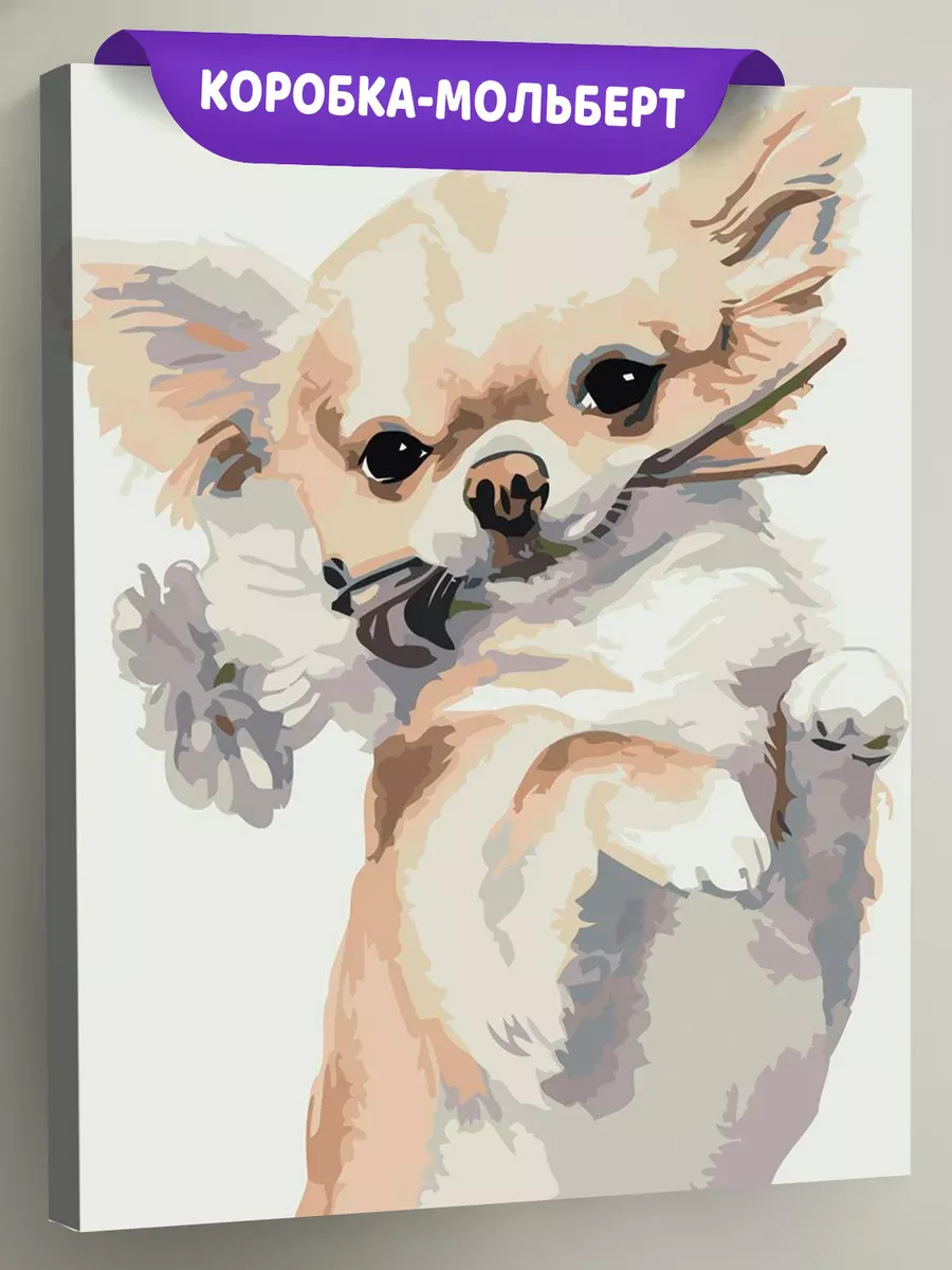 Картина по номерам «Собаки: смешная чихуахуа с цветами»