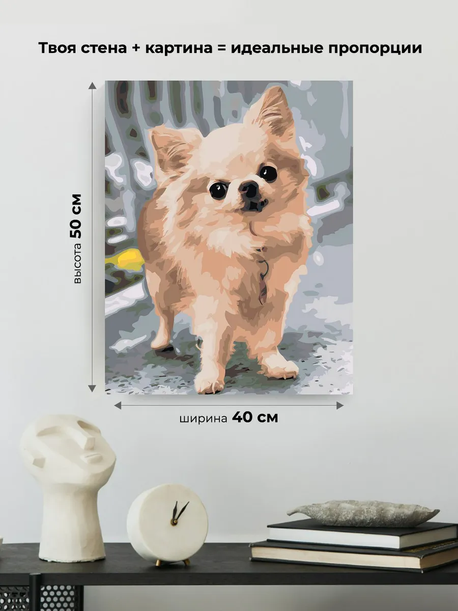 Картина по номерам «Собаки: пушистая чихуахуа на улице» — картинка 3