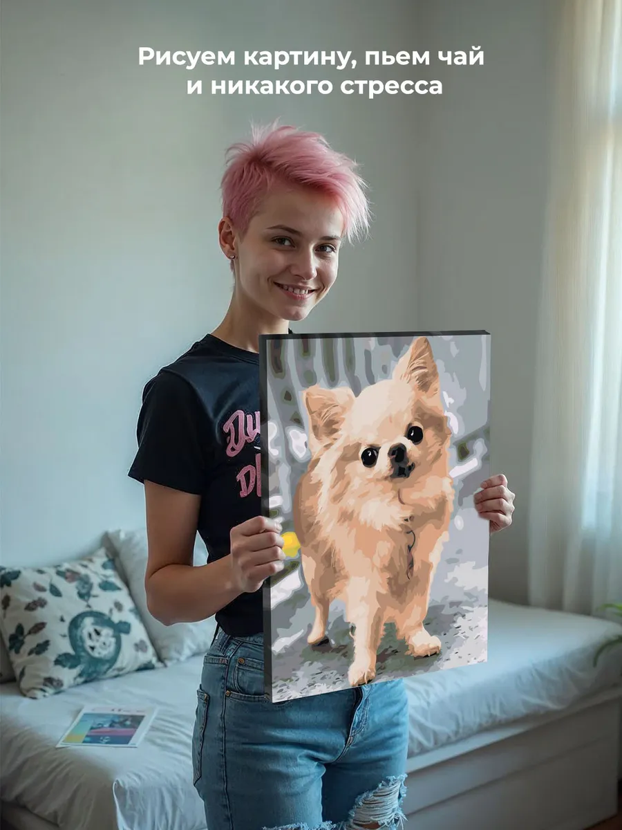 Картина по номерам «Собаки: пушистая чихуахуа на улице» — картинка 7