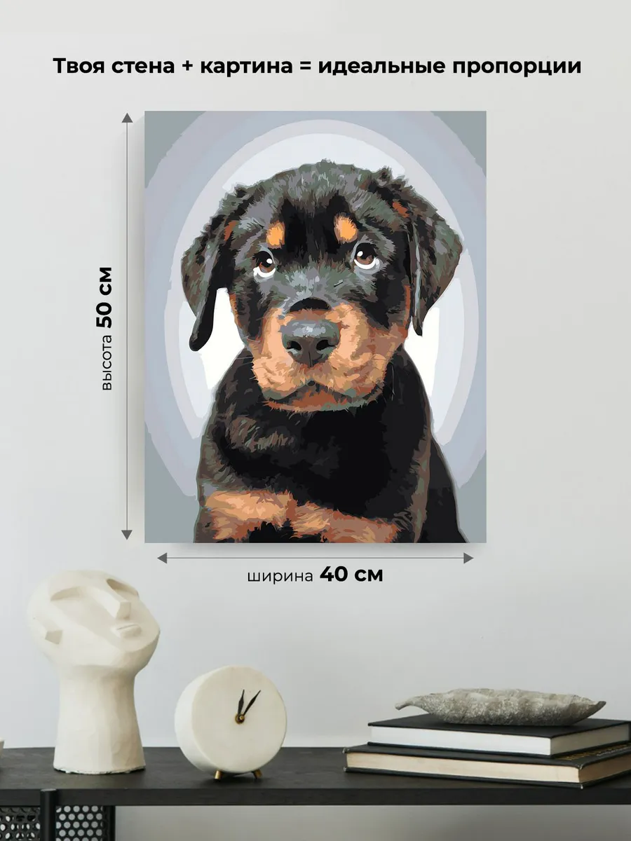 Картина по номерам «Собаки: милый щенок ротвейлер» — картинка 3