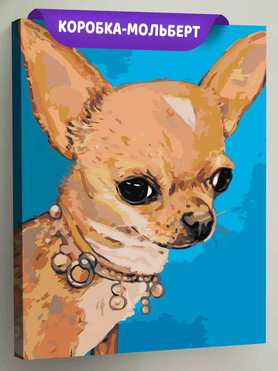 Картина по номерам «Собаки: маленькая чихуахуа с ожерельем»