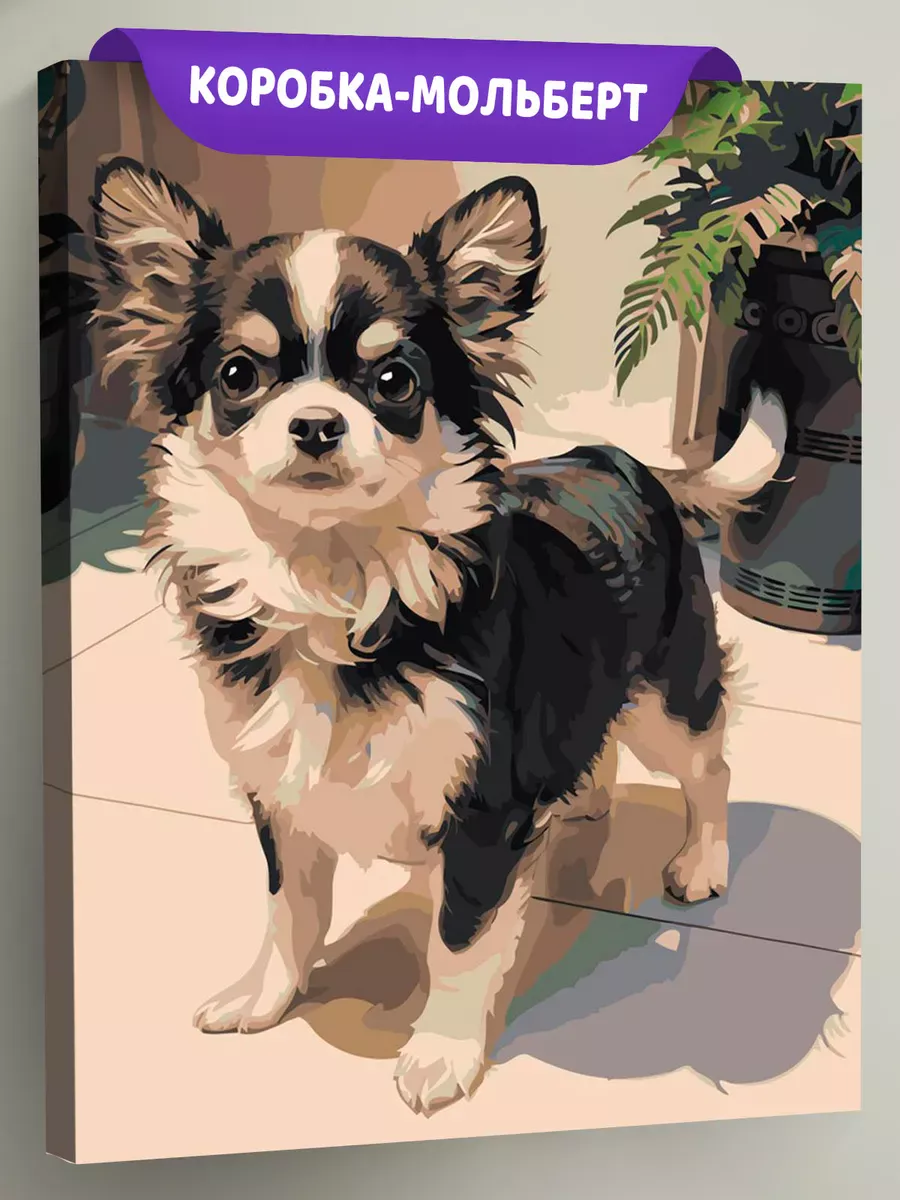 Картина по номерам «Собаки: милая длинношерстная чихуахуа»