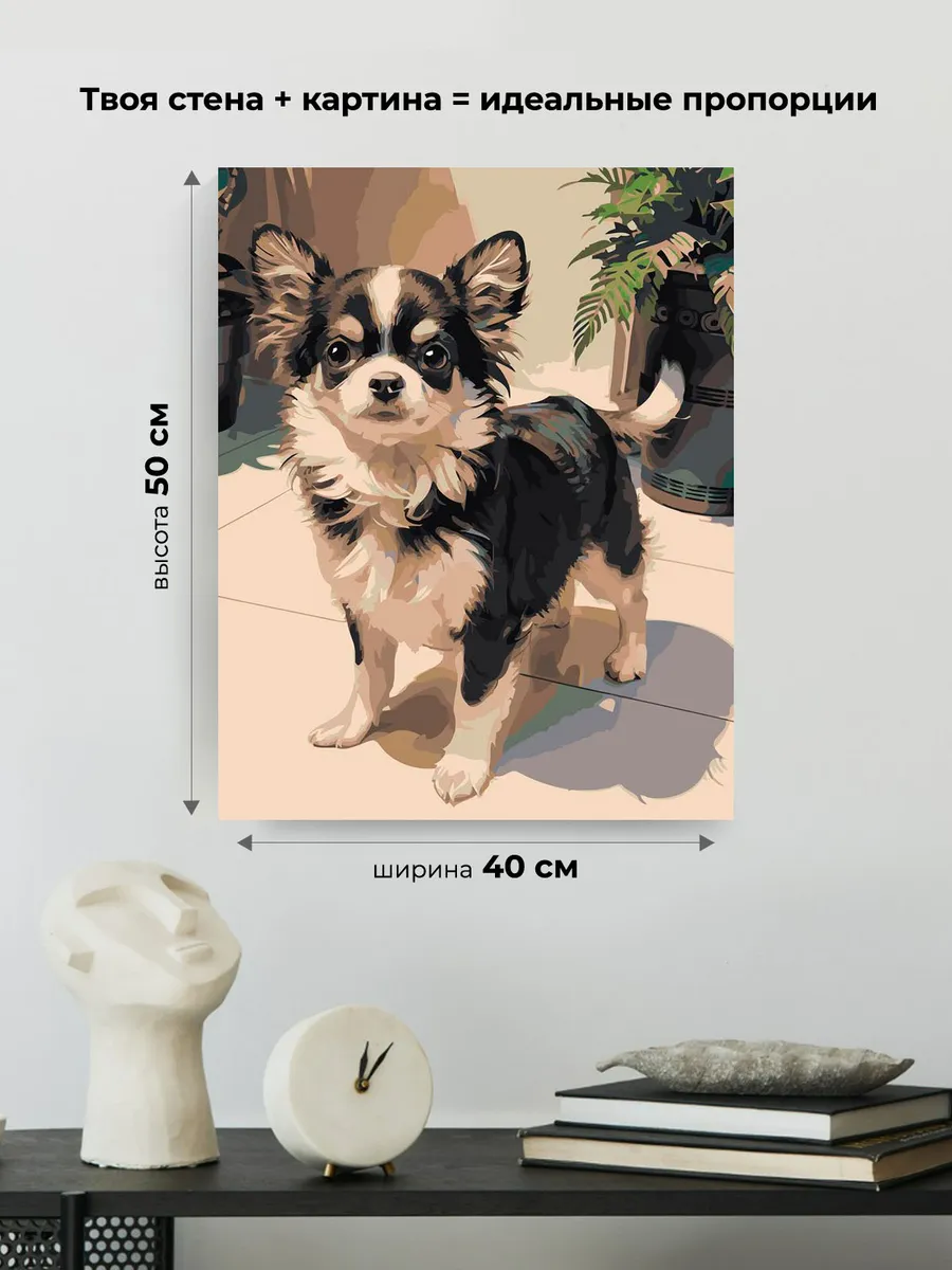 Картина по номерам «Собаки: милая длинношерстная чихуахуа» — картинка 3