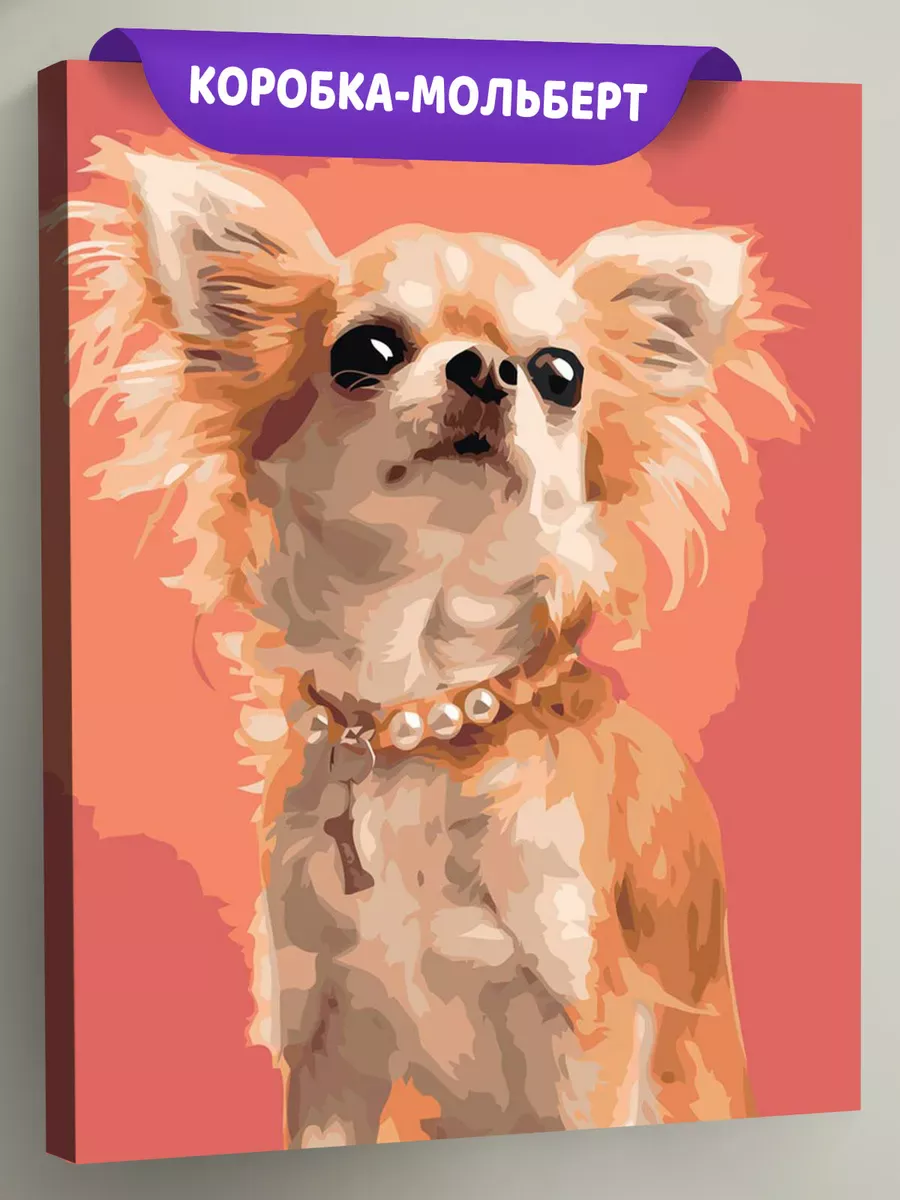 Картина по номерам «Собаки: чихуахуа с пушистыми ушами»