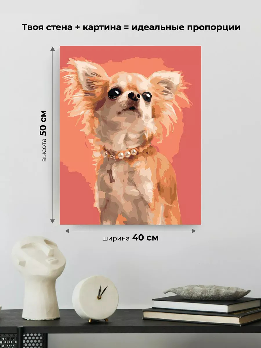 Картина по номерам «Собаки: чихуахуа с пушистыми ушами» — картинка 3