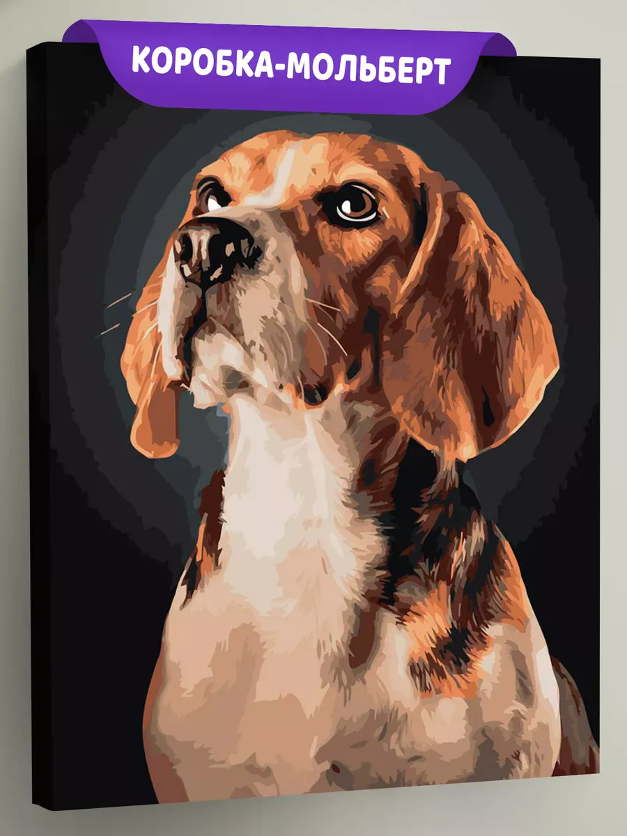 Картина по номерам «Собаки: щенок бигль, домашние животные»