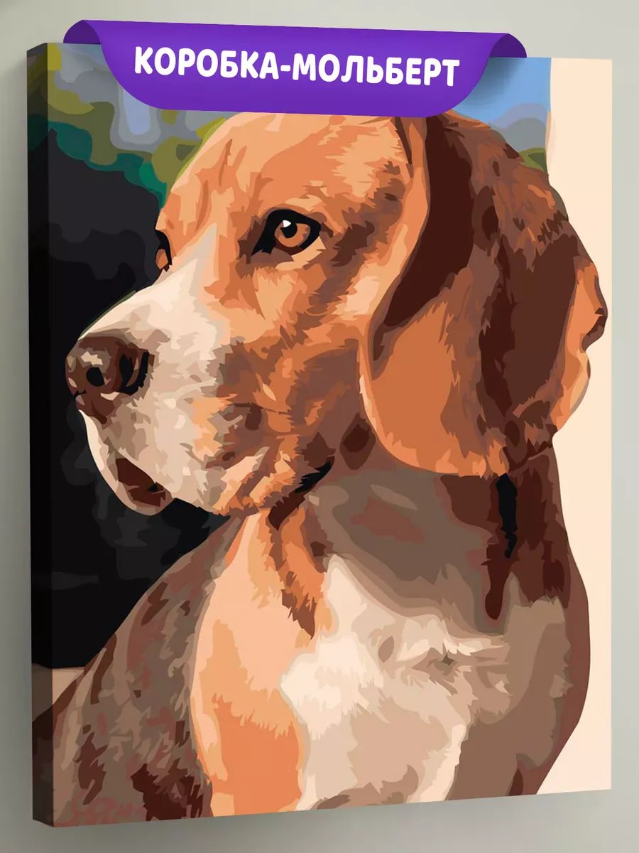 Картина по номерам «Собаки: милый бигль, домашние животные»