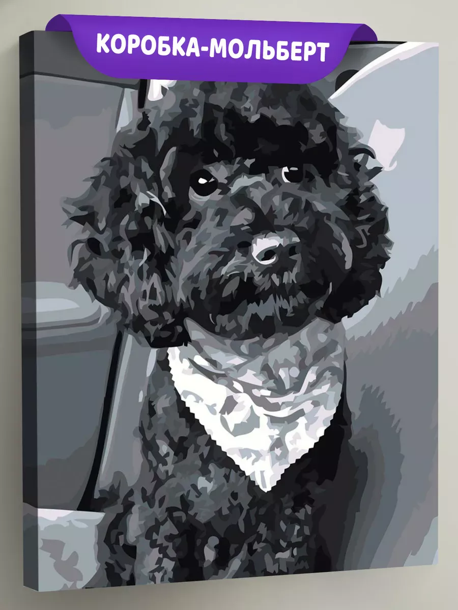 Картина по номерам «Собаки: черный той пудель в машине, чб»