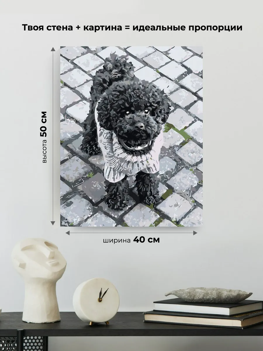 Картина по номерам «Собаки: черный той пудель на улице, чб» — картинка 3