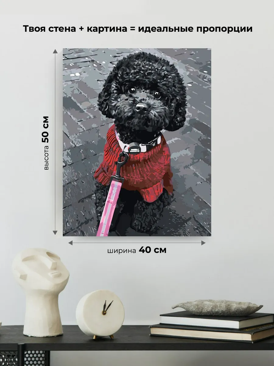 Картина по номерам «Собаки: черный той пудель на улице, чб» — картинка 3