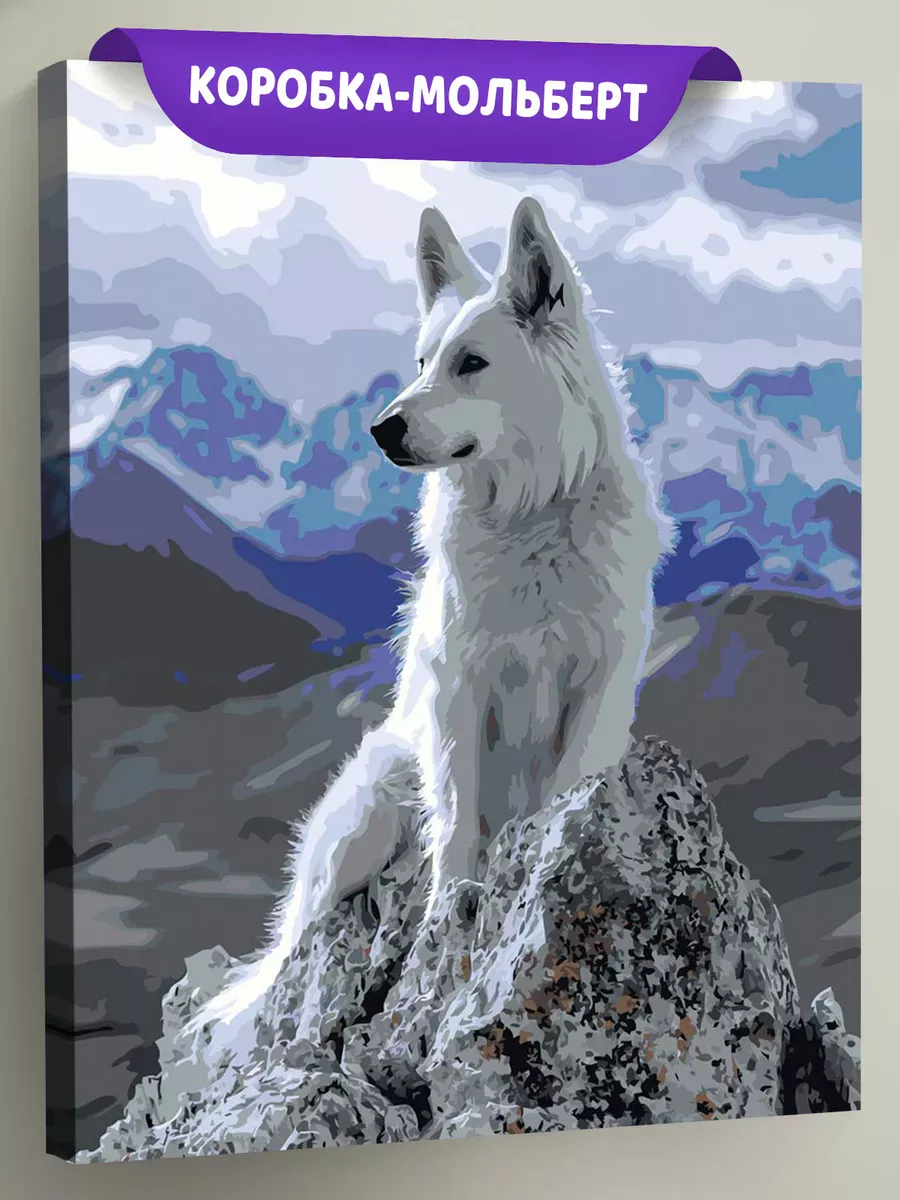 Картина по номерам «Собаки: белая швейцарская овчарка, горы»