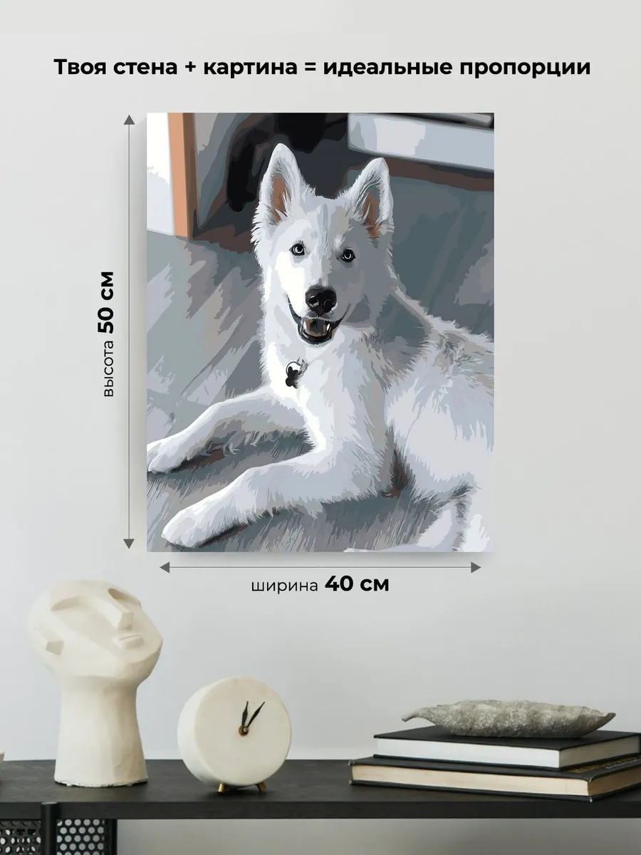 Картина по номерам «Собаки: белая швейцарская овчарка, щенок» — картинка 3