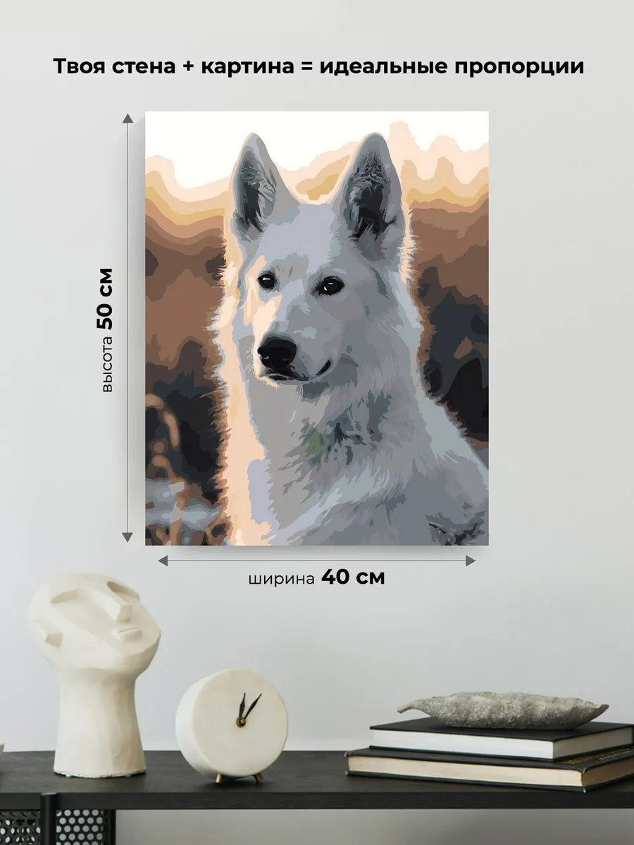 Картина по номерам «Собаки: белая швейцарская овчарка» — картинка 3