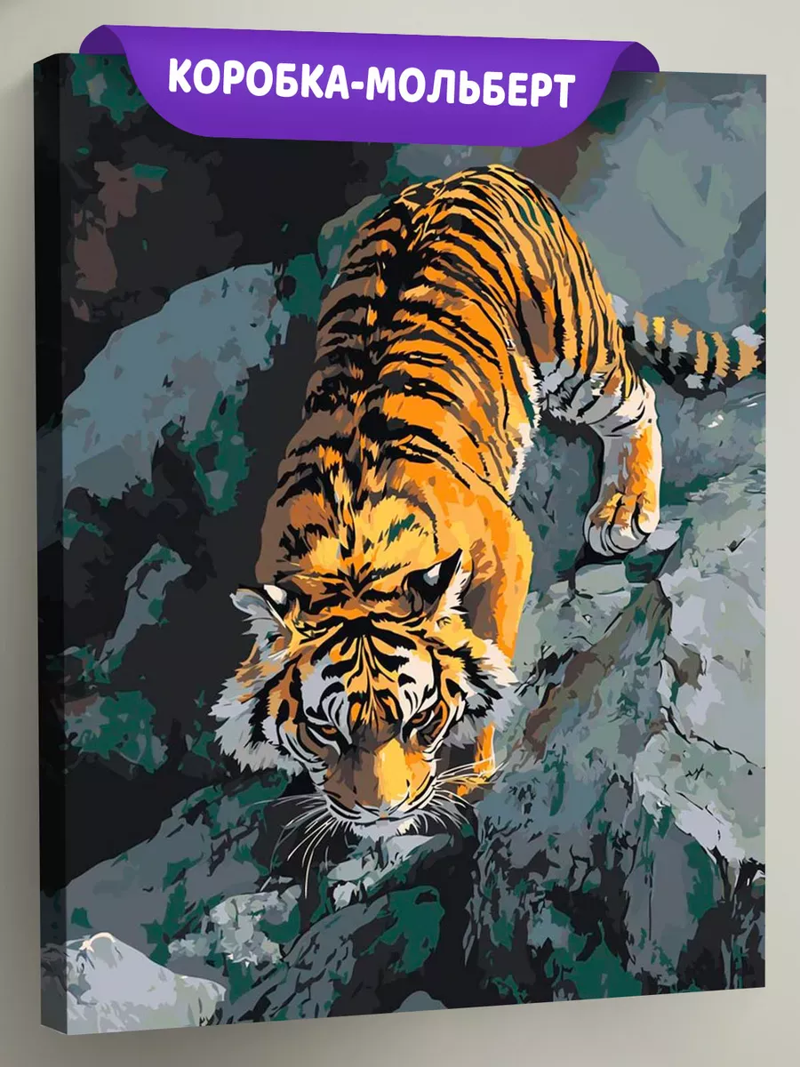 Картина по номерам «Животные: тигр в горах, природа»