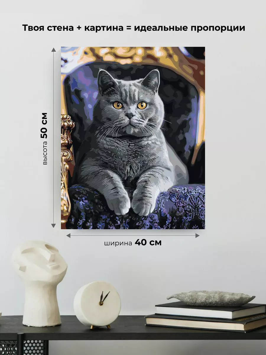 Картина по номерам «Кошки: серый британец, британский кот» — картинка 3
