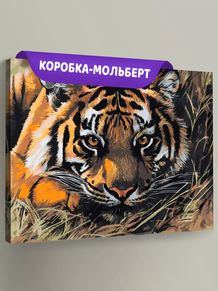 Картина по номерам «Животные: тигр прячется в траве, природа»