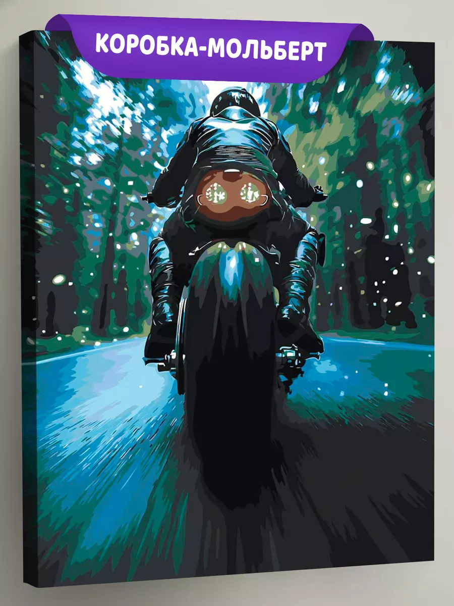 Картина по номерам «Гонщик на мотоцикле на дороге в лесу»