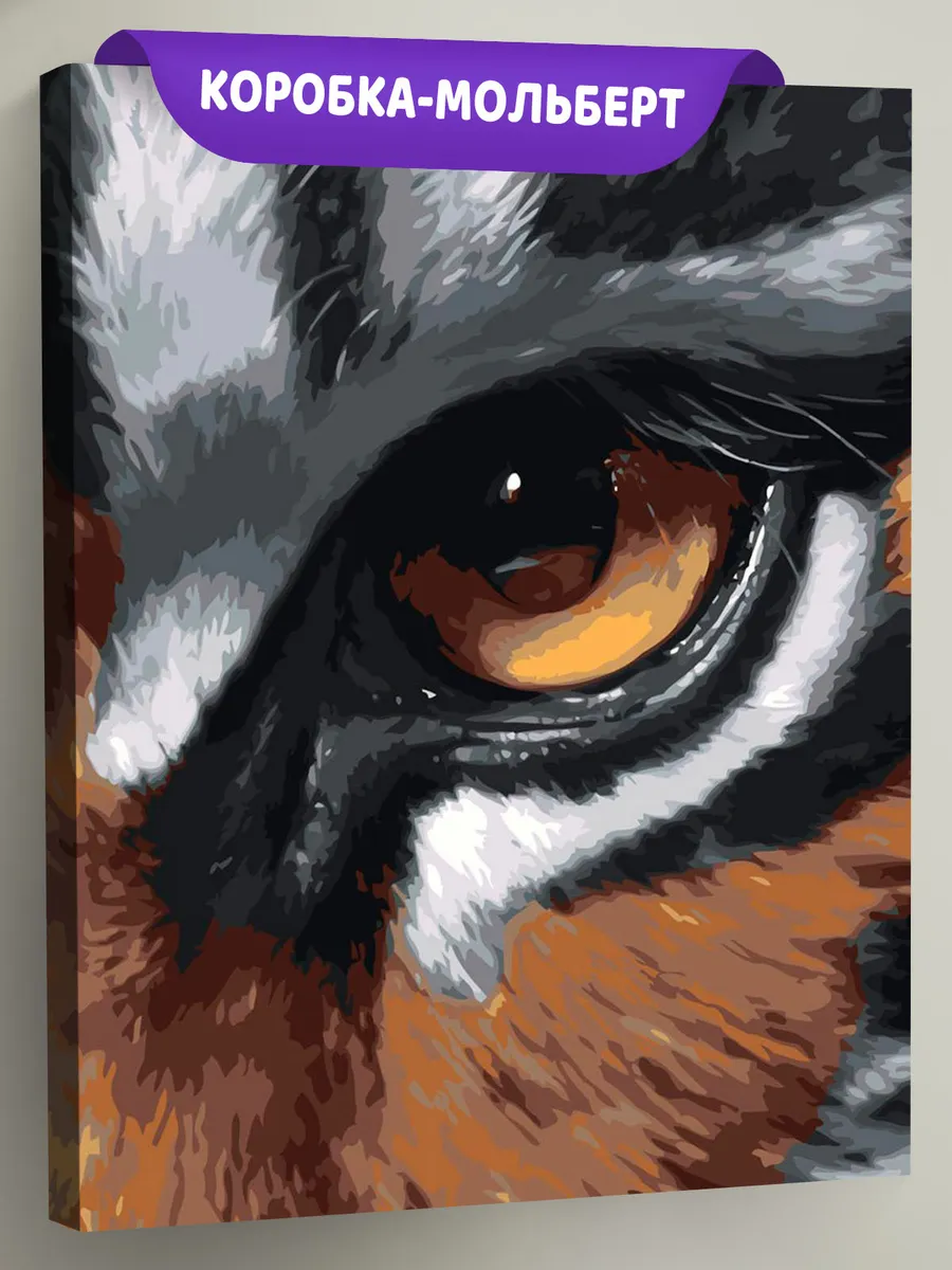 Картина по номерам «Животные: глаз тигра крупным планом»