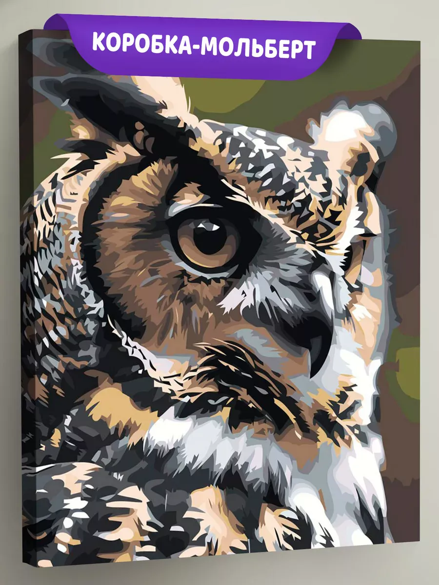 Картина по номерам «Животные: мудрая птица сова, портрет»