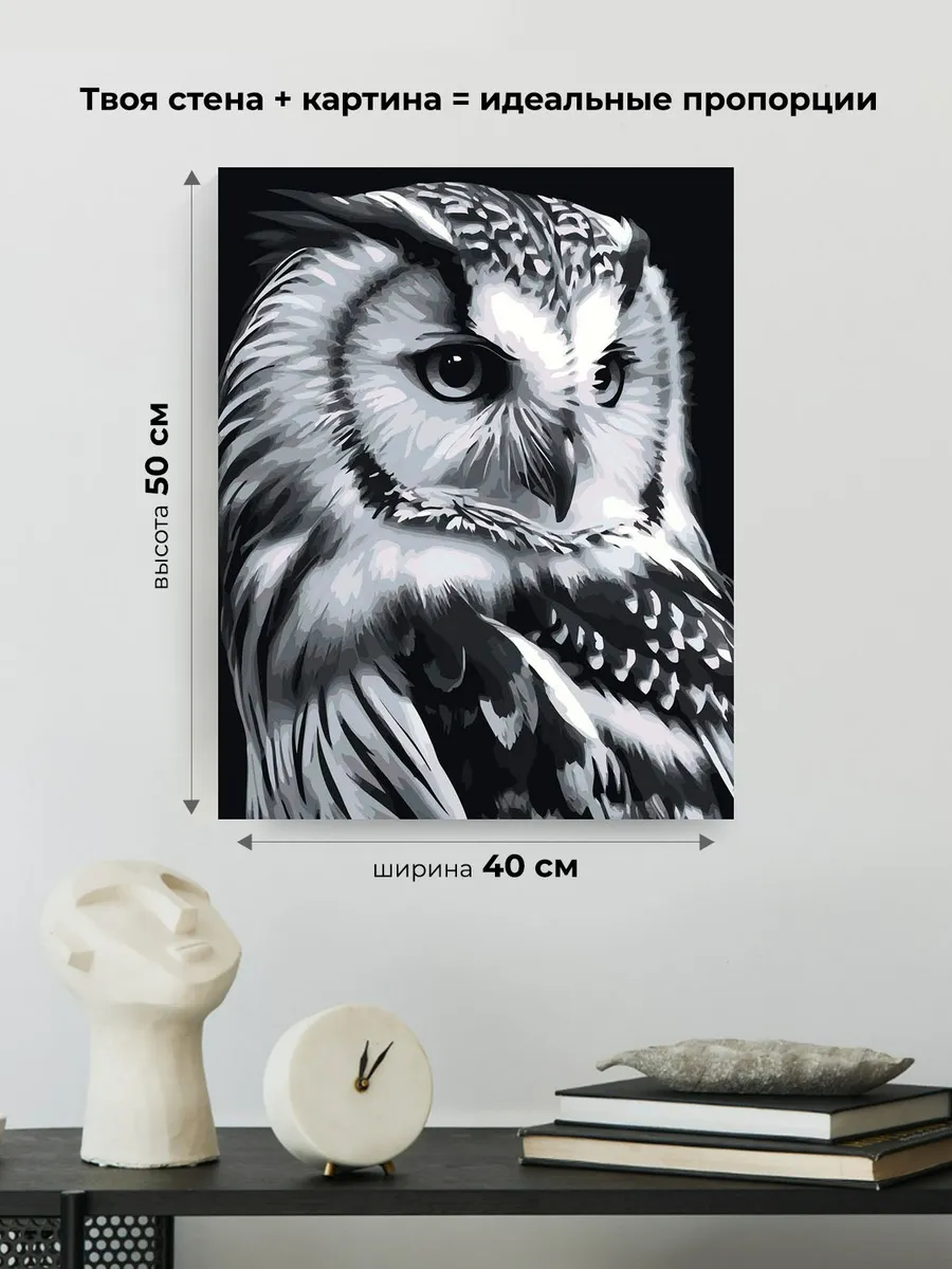 Картина по номерам «Животные: мудрая птица сова, чб портрет» — картинка 3