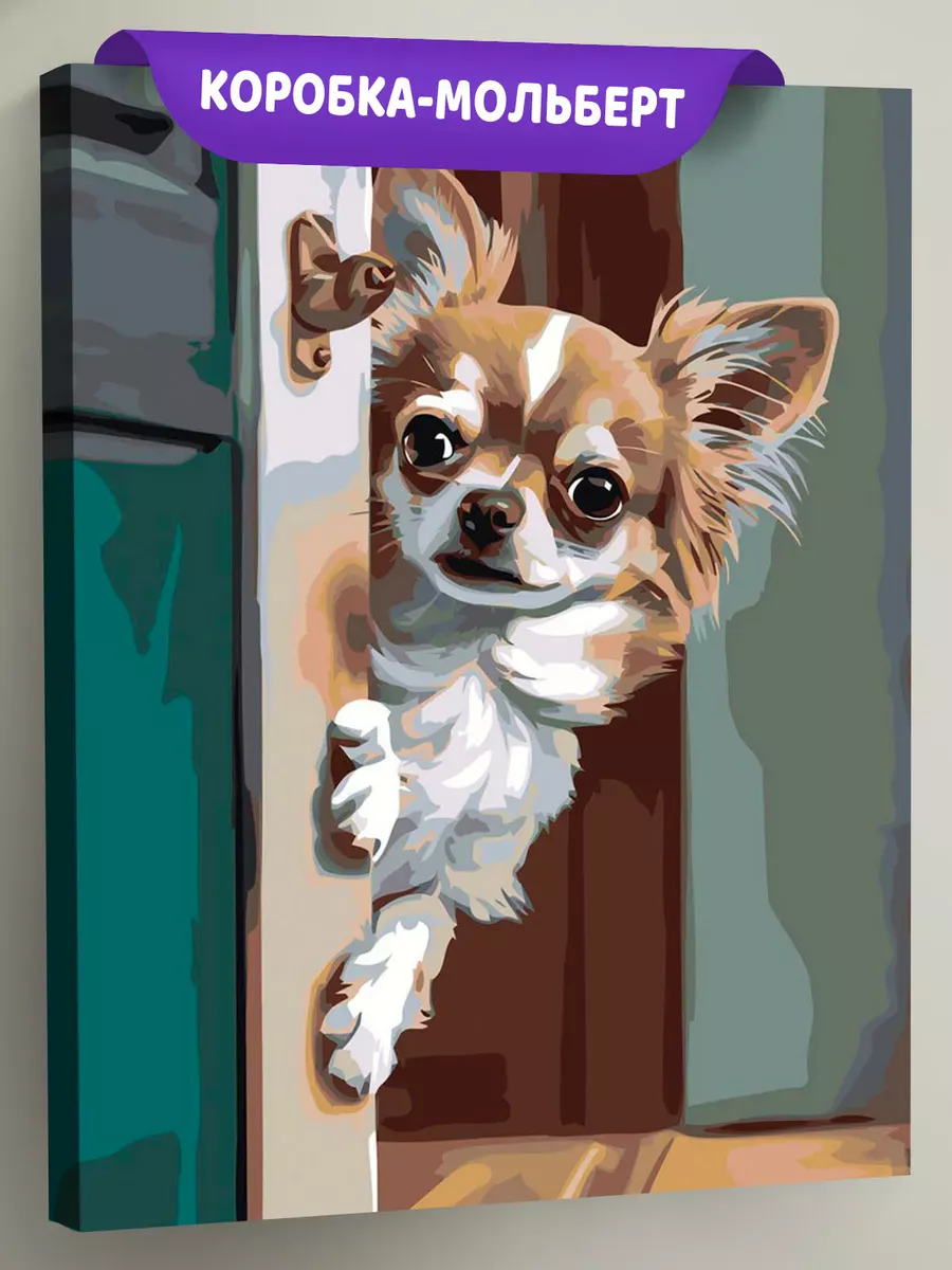 Картина по номерам «Собаки: чихуахуа заглядывает в комнату»