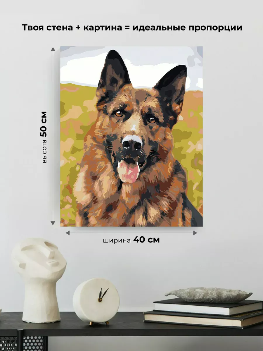 Картина по номерам «Собаки: Немецкая овчарка портрет» — картинка 3