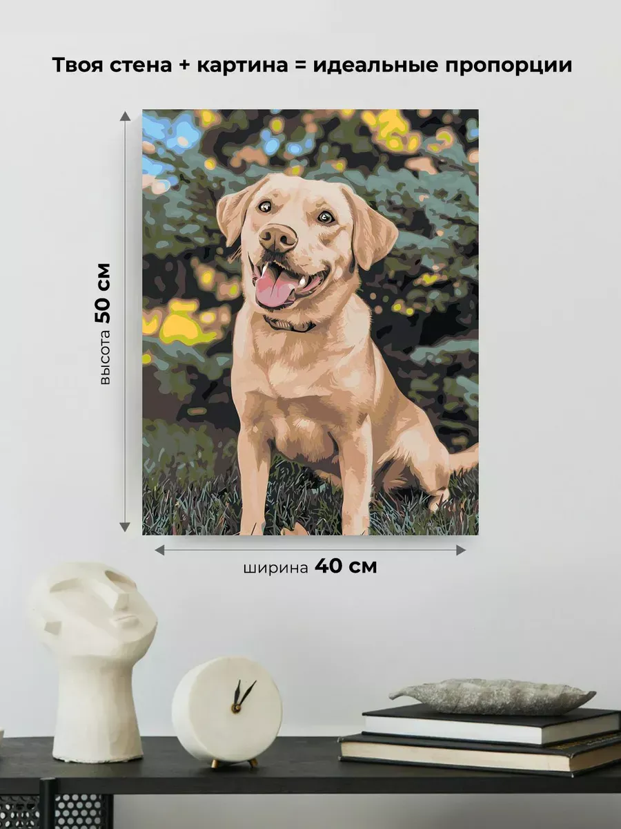 Картина по номерам Собака лабрадор ретривер в парке — картинка 3