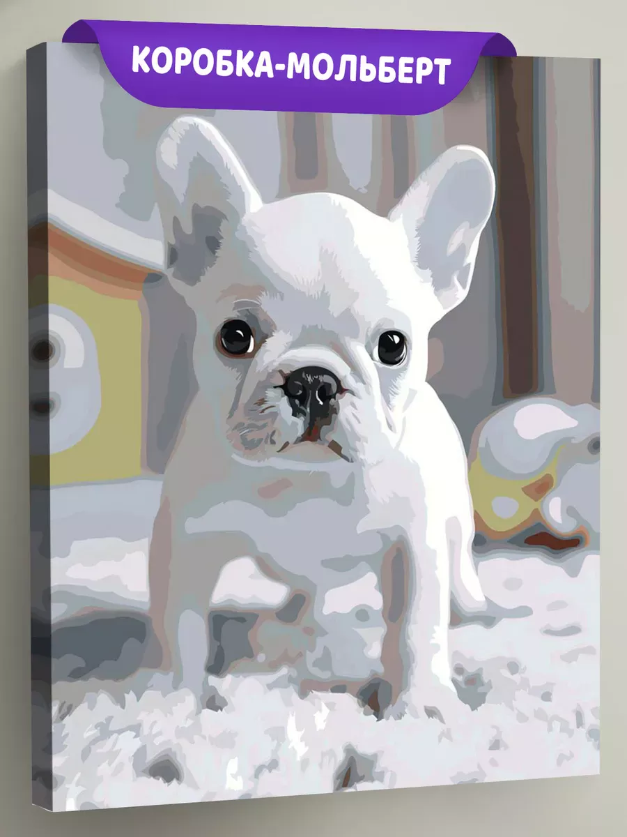 Картина по номерам Собака милый французский бульдог щенок