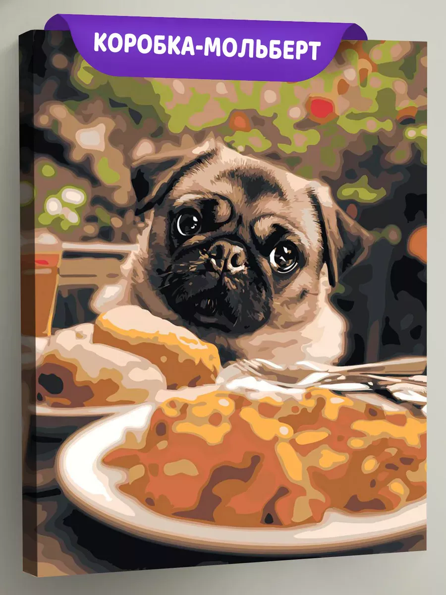 Картина по номерам Собака маленький мопс за столом с едой