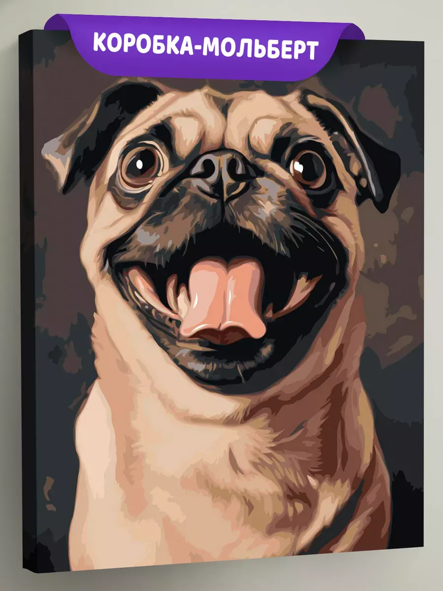 Картина по номерам Собака мопс крупным планом арт Картина по номерам Собака мопс крупным планом арт