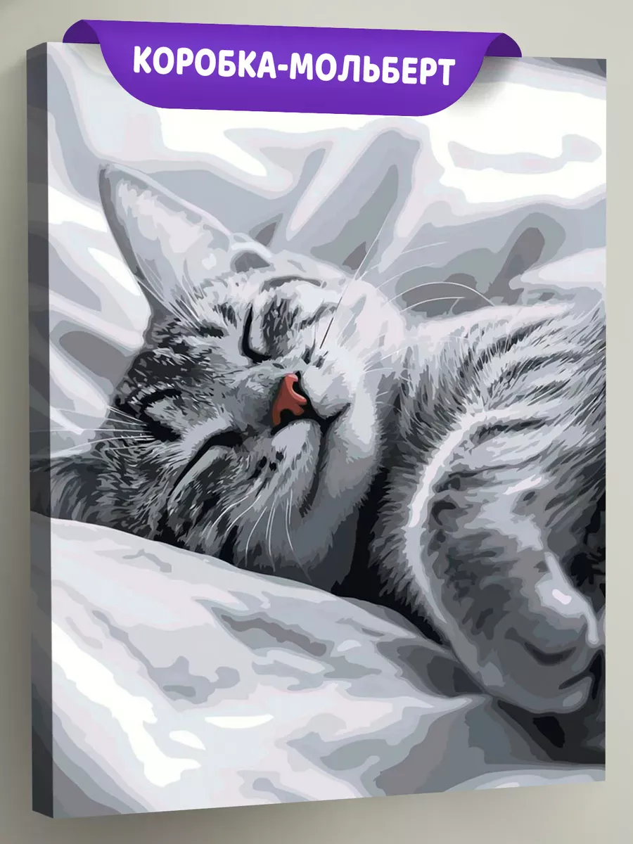 Картина по номерам Кошки серый котенок на кровати