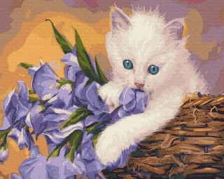 Картина по номерам «Неженка» Картина по номерам «Неженка»