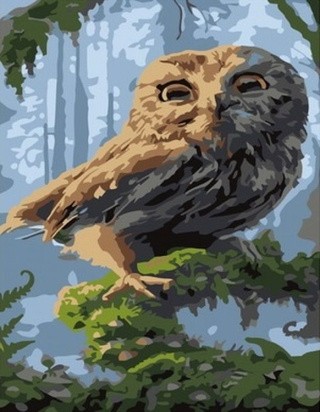 Картина по номерам «Сова в лесу» Картина по номерам «Сова в лесу»