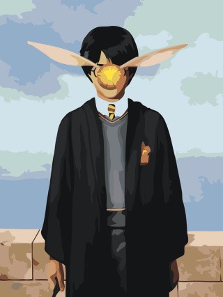 Картина по номерам Гарри Поттер и золотой снитч