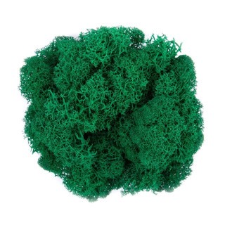 Мох стабилизированный окрашенный, 50 г ± 5 г, цвет: №02 зеленый, Blumentag