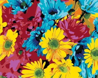 Картина по номерам «Разноцветье»