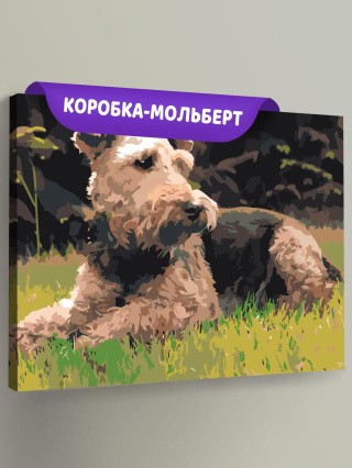 Картина по номерам Собака вельштерьер лежит на траве