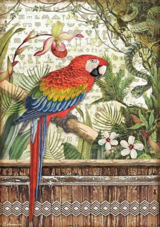 Бумага рисовая «Рarrot/Попугай», 21x29,7 см, Stamperia Бумага рисовая «Рarrot/Попугай», 21x29,7 см, Stamperia