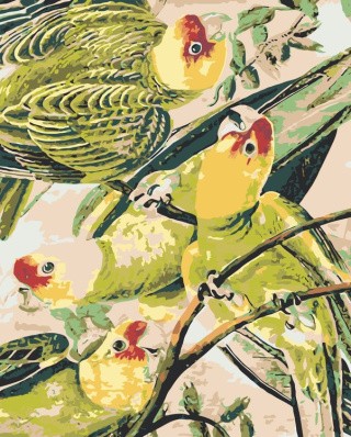 Картина по номерам «Стайка попугаев»