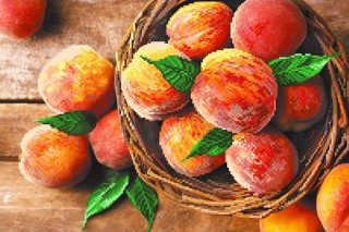 Рисунок на шелке «Райские персики»