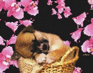 Алмазная вышивка «Домашний питомец» Алмазная вышивка «Домашний питомец»