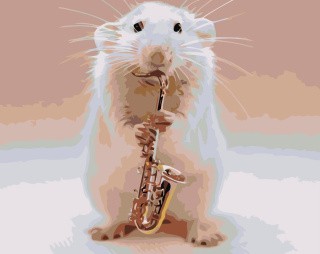 Картина по номерам «Мышь-саксофонистка»