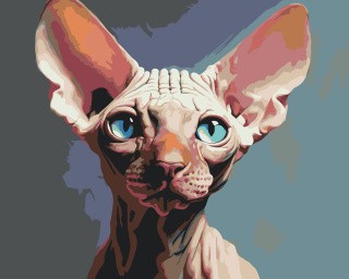 Картина по номерам «Котенок сфинкс с большими ушами»