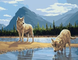 Картина по номерам «Прогулка волков» Картина по номерам «Прогулка волков»