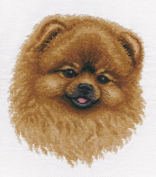 Набор для вышивания «Шпиц» Набор для вышивания «Шпиц»